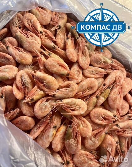 Креветки, лангустины в розницу свежие поставки