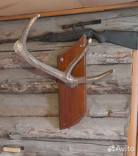 Вешалка рога лося