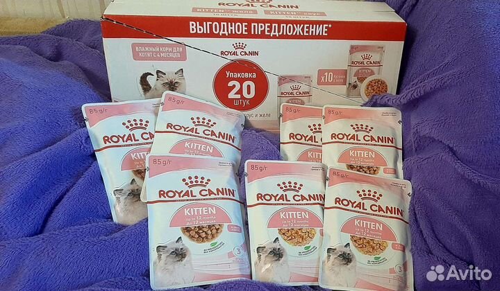 Влажный корм для котят Royal canin