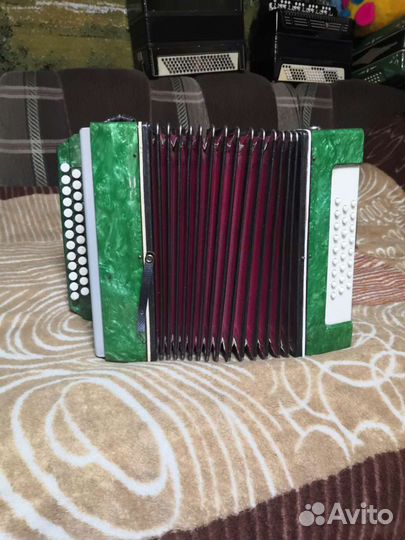 Гармонь нарач 2