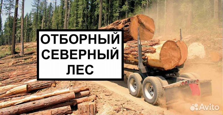 Доска сухая 45х145х 6000, ав. Бесплатная погрузка