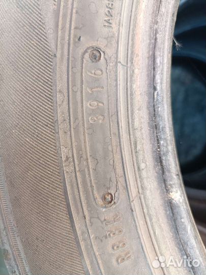 Dunlop Direzza DZ102 205/55 R16