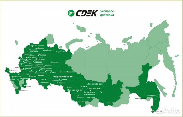 Роза чайно-гибридная «Блек Баккара» - саженцы зкс