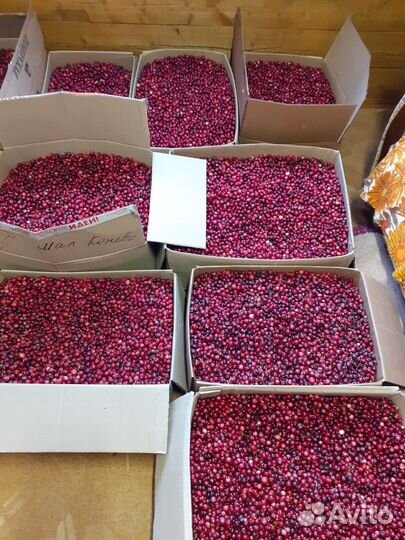 Клюква (чистая)