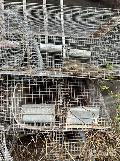 Клетка для животных