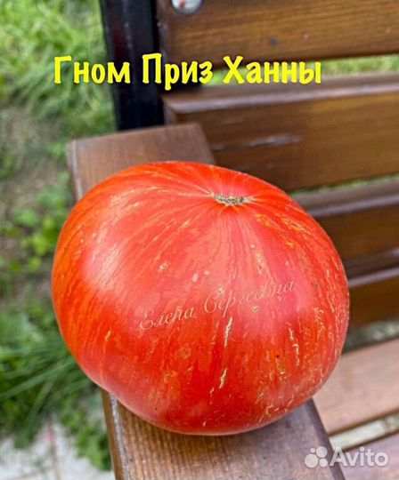 Семена томатов гномов