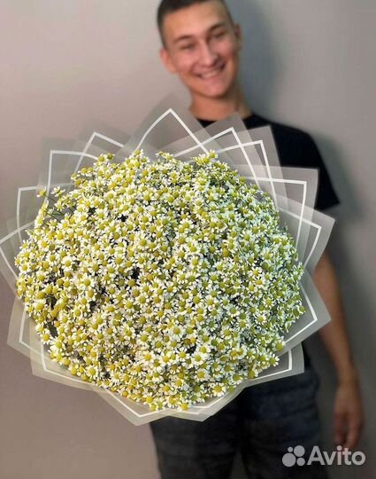 Цветы ромашки. Букеты ромашек. Цветы доставка