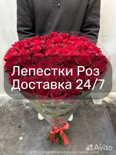 Лепестки Роз Москва