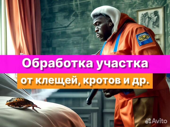 Уничтожение клещей, обработка комаров муравьев ос