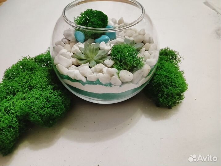 Флорариум мини