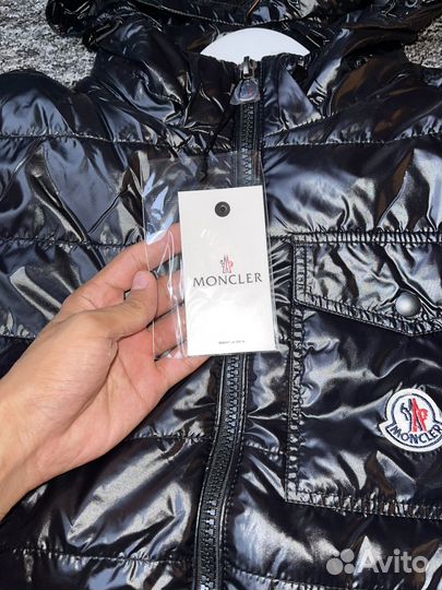 Вктровка moncler