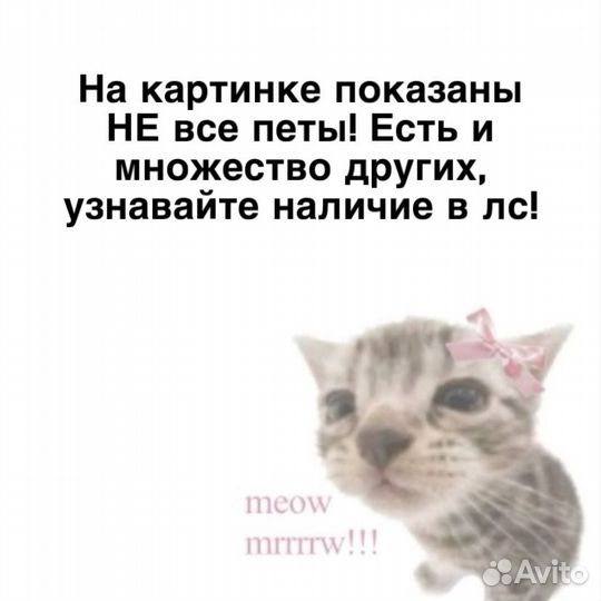 Питомцы в адопт ми