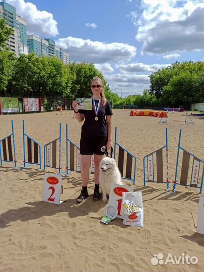 Выгул/дрессировка/передержка собак