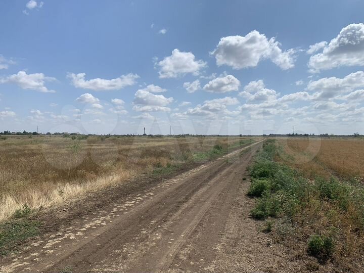 Участок 4 га (СНТ, ДНП)