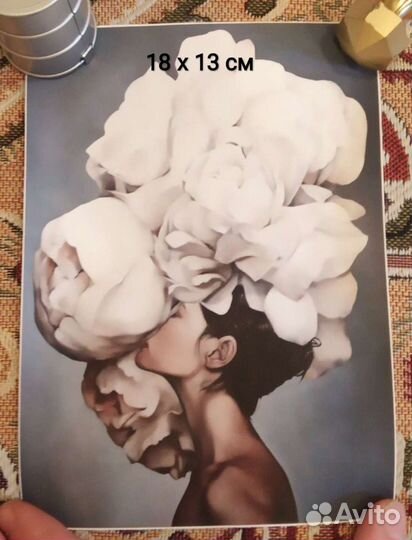 Картины
