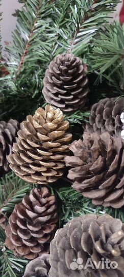 Шишки сосновые для декора