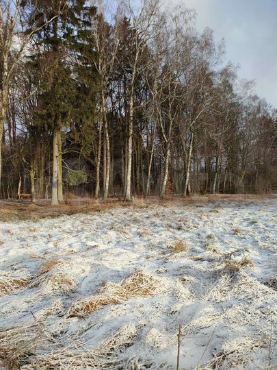 Участок 12 сот. (ИЖС)