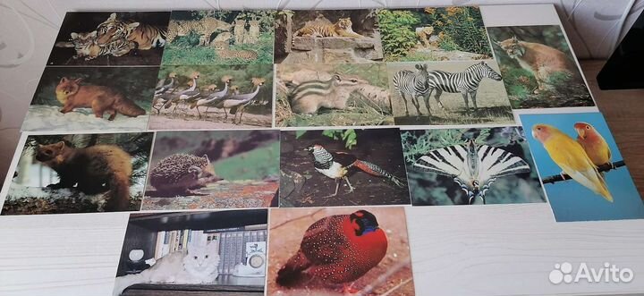 Открытки СССР чистые