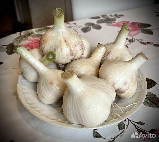 Чеснок