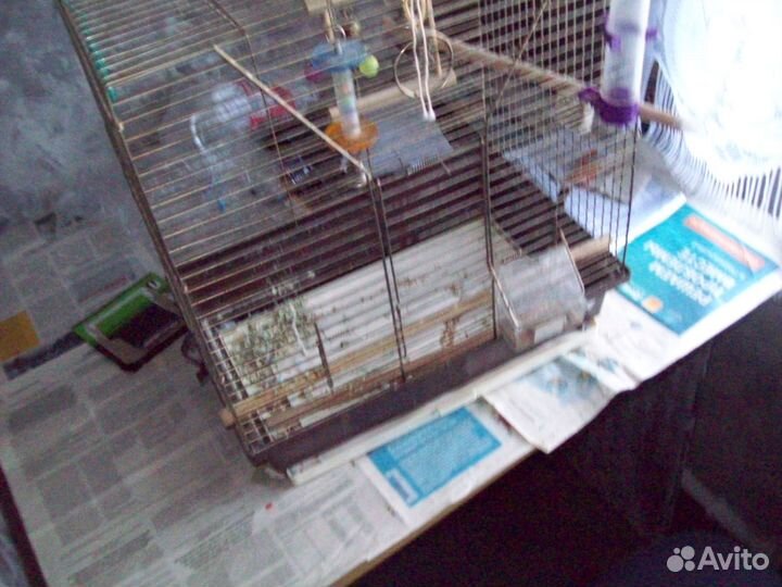 Большая клетка для птиц