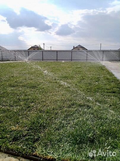 Рулонный газон