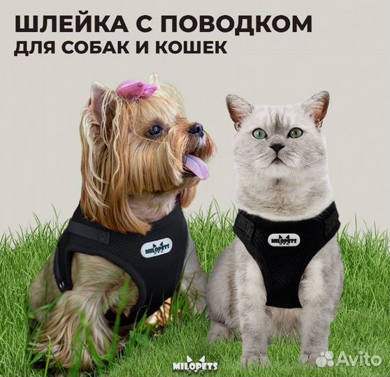 Шлейка для собак и кошек анатомическая MiloPets