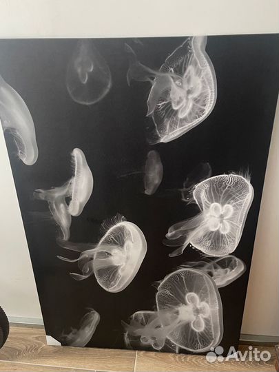 Картина постер IKEA икея