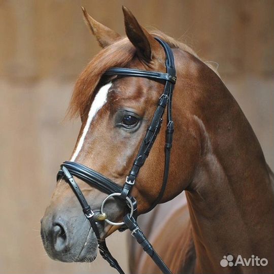 Уздечка для лошади cob, full