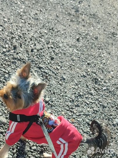 Кабель для вязки