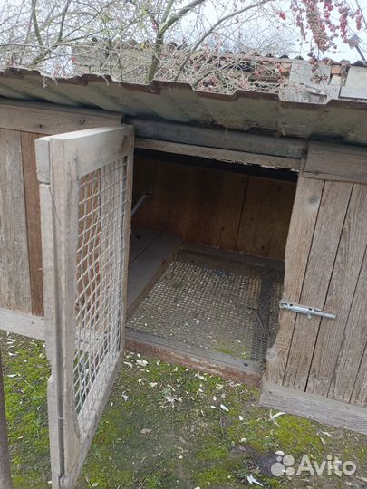 Продам крольчатник