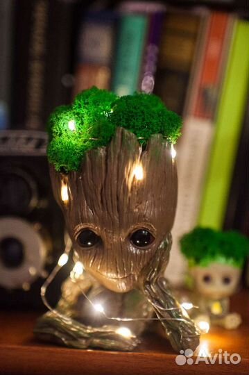 Кашпо с мхом