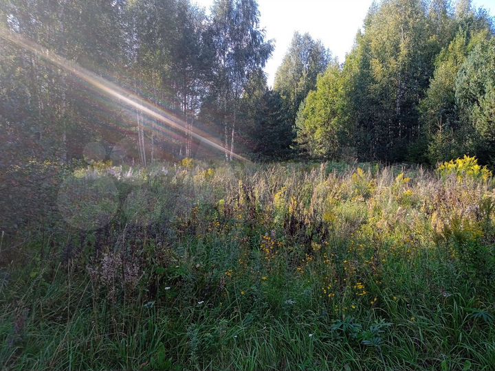 Участок 15 сот. (СНТ, ДНП)