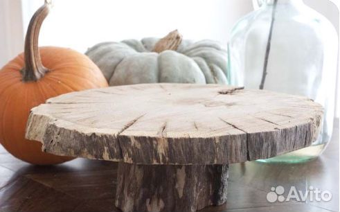 Спилы дерева для декора кедр и ангарская сосна