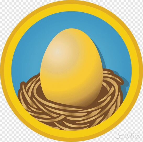 Инкубационное яйцо несушек