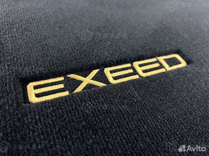 Коврик в багажник на Exeed VX