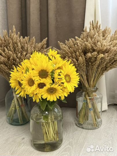 Цветы сухоцветы