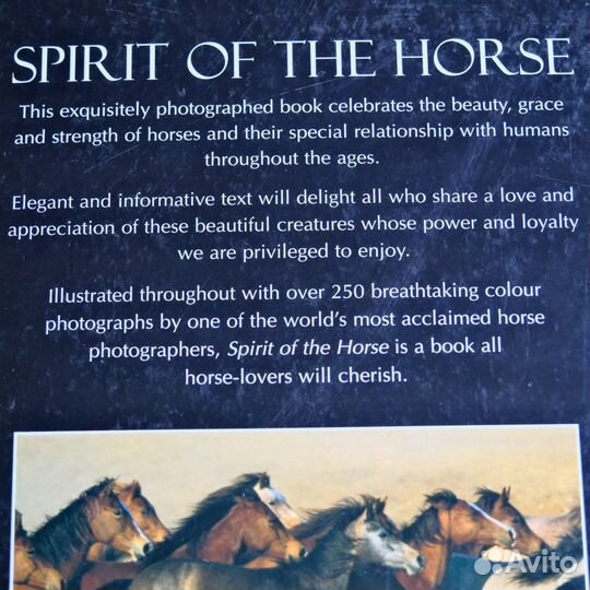 Spirit of the Horse, книга о лошадях из Англии