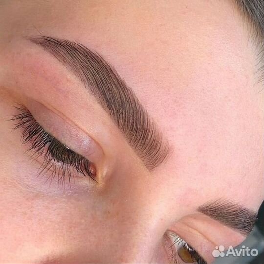 Обучение на бровиста