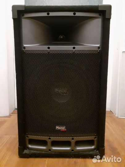 Колонка Magnat 250 Вт