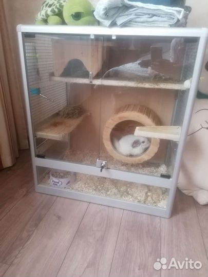 Клетка для грызунов