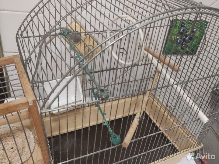 Клетка для птичек