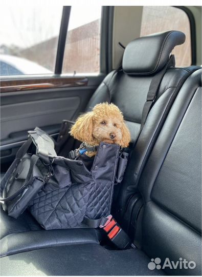 Переноска для собак/ кошек