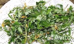 Чистотел с Лопухом на Меду/В Свежем и сухом виде