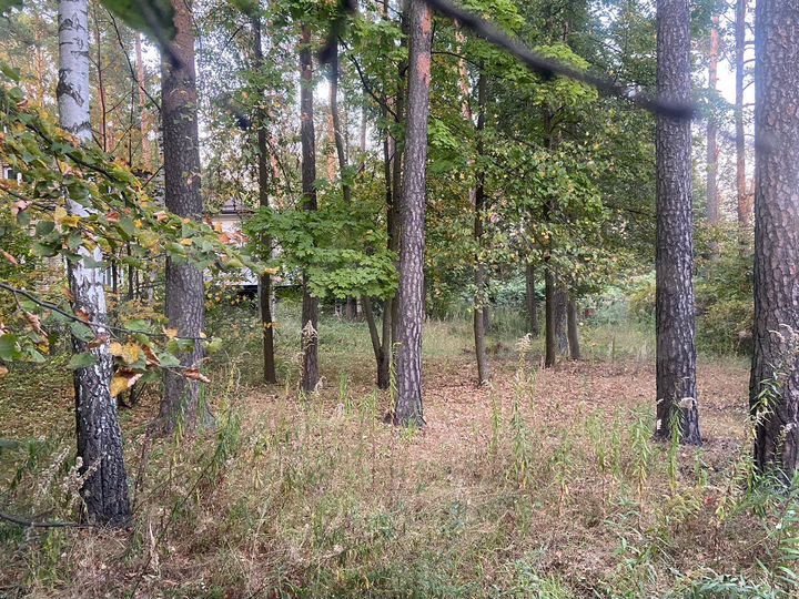 Участок 10 сот. (СНТ, ДНП)