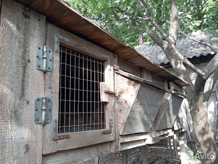 Клетки для разведения кроликов