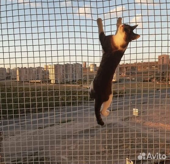 Сетка спортивная заградительная от производителя