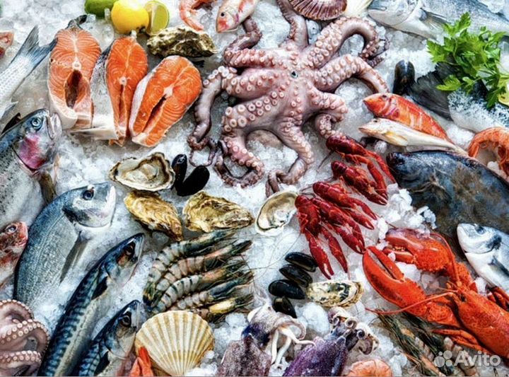 Свежая рыба и морепродукты к вашему столу