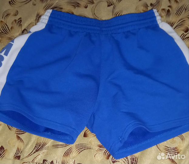 Шорты самбо