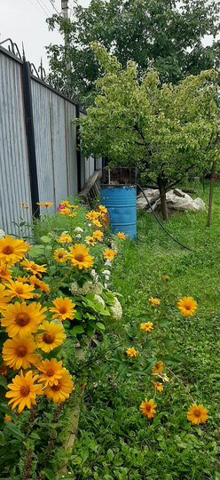 Дом 77 м² на участке 8 сот.