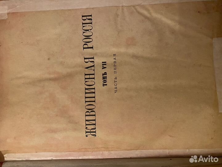 Живописная Россия том 6 ч 1, 2; том 7